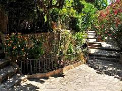 183 D24 BORMES LES MIMOSAS 2_000006
